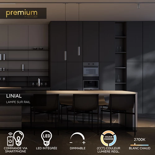 Lucide Premium LINIAL GLYXX Spot sur rail - Système de rail monophasé / Éclairage sur rail smart - Smart - 48V Track - 1xLED - Canon Fusil Mat - USP